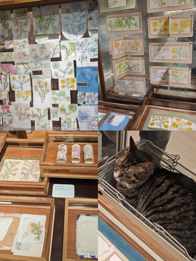 7.9上海玩樂快訊【免費展覽，快閃】