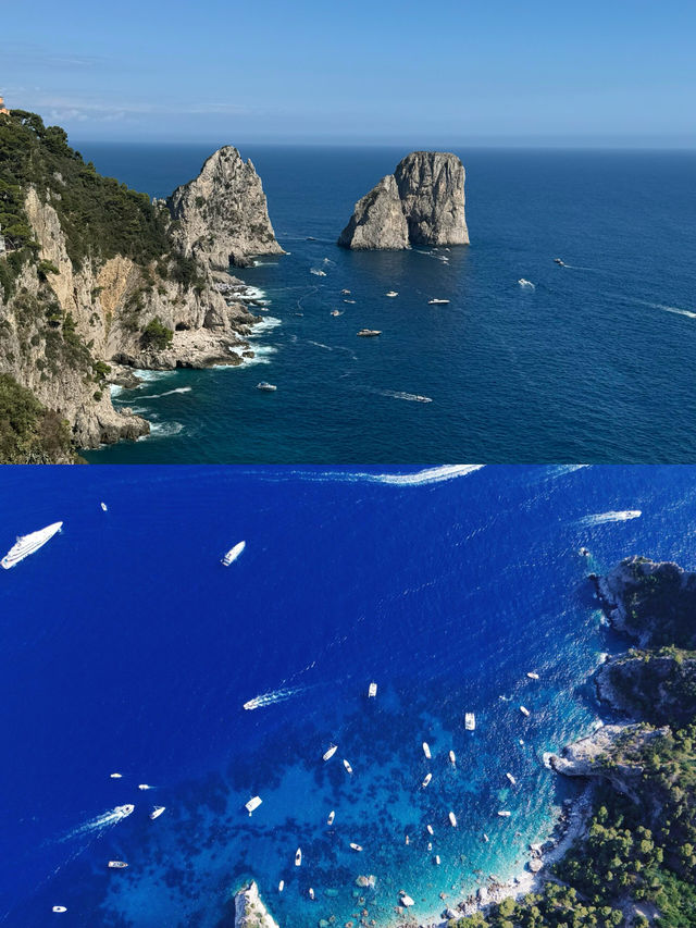 總統府金光探秘指南