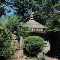 在孤山漫遊，西泠印社至最美轉角都留下蹤跡