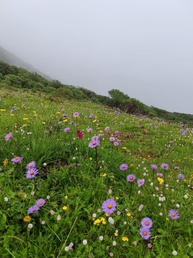 巴郎山：雲端的羌藏走廊