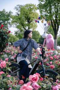 7公里躺騎天堂！20分鐘公園效應！