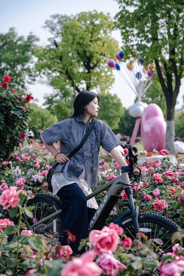 7公里躺騎天堂！20分鐘公園效應！