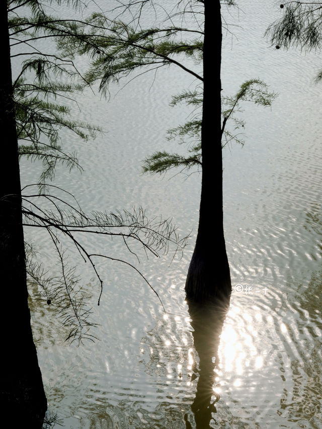 廣州·鳴泉居｜白雲山下避世地，如畫嶺南