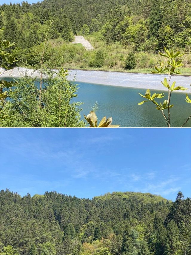 重慶避暑勝地｜武陵山森林公園2日1夜吸氧攻略