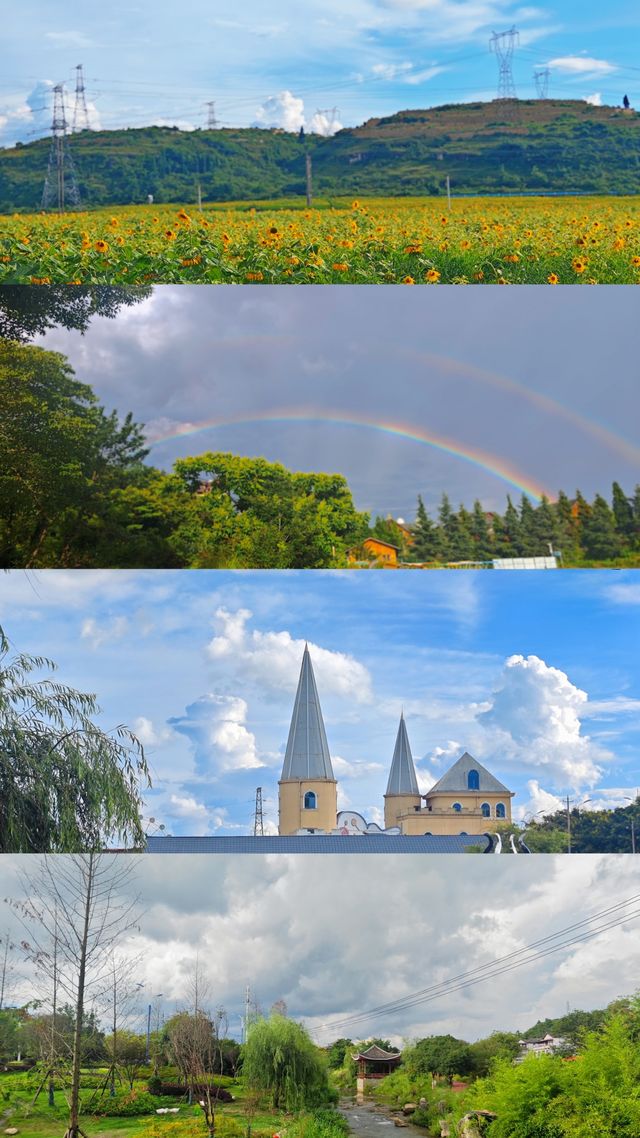 【貴州安順植物園向日葵花海深度遊】21℃清涼避暑