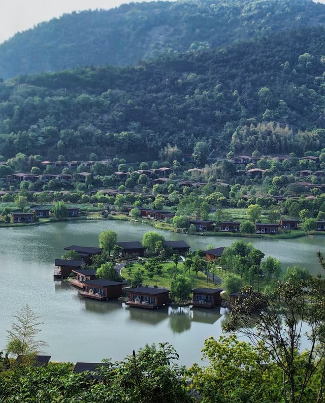 莫干山森泊私藏玩法