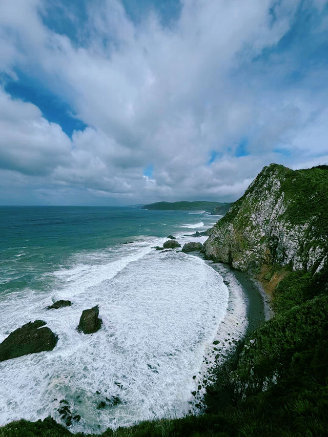 Roaring Bay遊覽攻略：探秘黃眼企鵝的隱秘棲息地