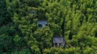 莫干山避暑詩境|山居時序:採茶雲海·枕星溫泉·竹林溯溪