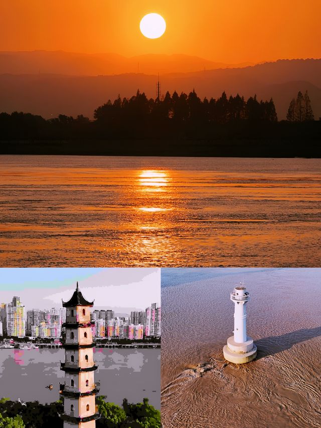 被低估嘅寶藏！溫州唔止有「東方猶太人」，仲有令食貨瘋狂嘅