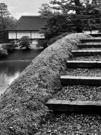 Kyoto’s Charm: Where Culture, Nature, and History Collide