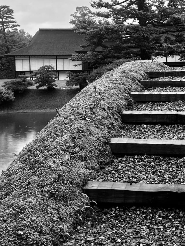 Kyoto’s Charm: Where Culture, Nature, and History Collide