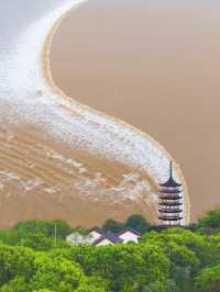鹽官聽潮觀日出