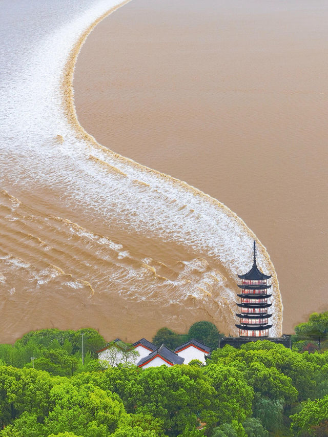 鹽官聽潮觀日出