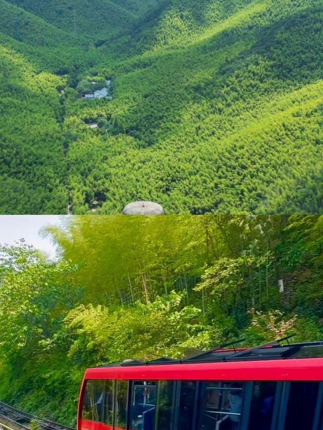 南山竹海已回，說點難聽的大實話