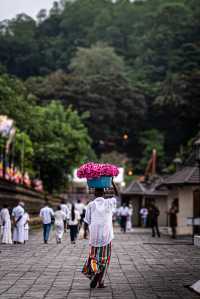 早上起來先去走一走寺廟的外圍，