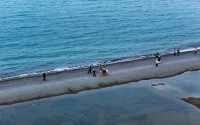 青海，青色的海？