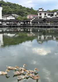 煙雨桐廬古村落