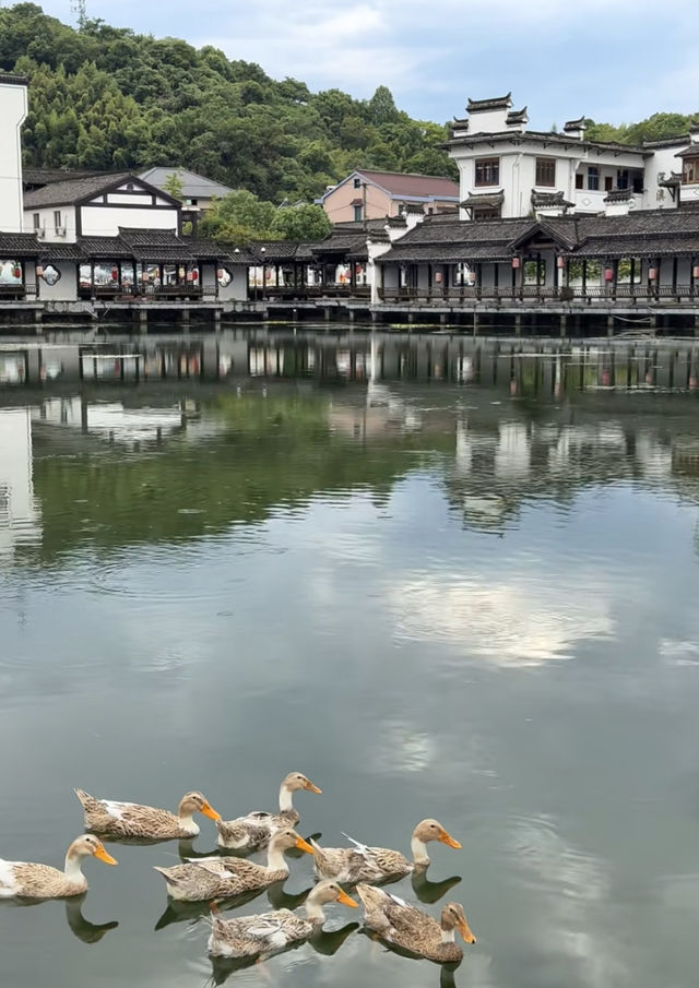 煙雨桐廬古村落