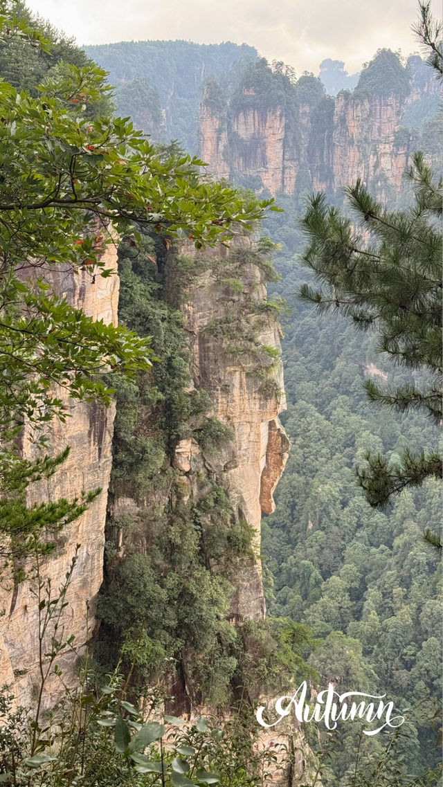 你見過會“飄”在雲裡的石頭嗎？