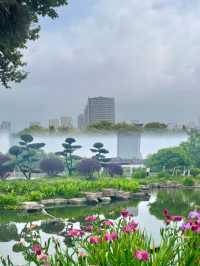 寧波月湖公園 | 千年古韻，一部寧波史，半部在月湖