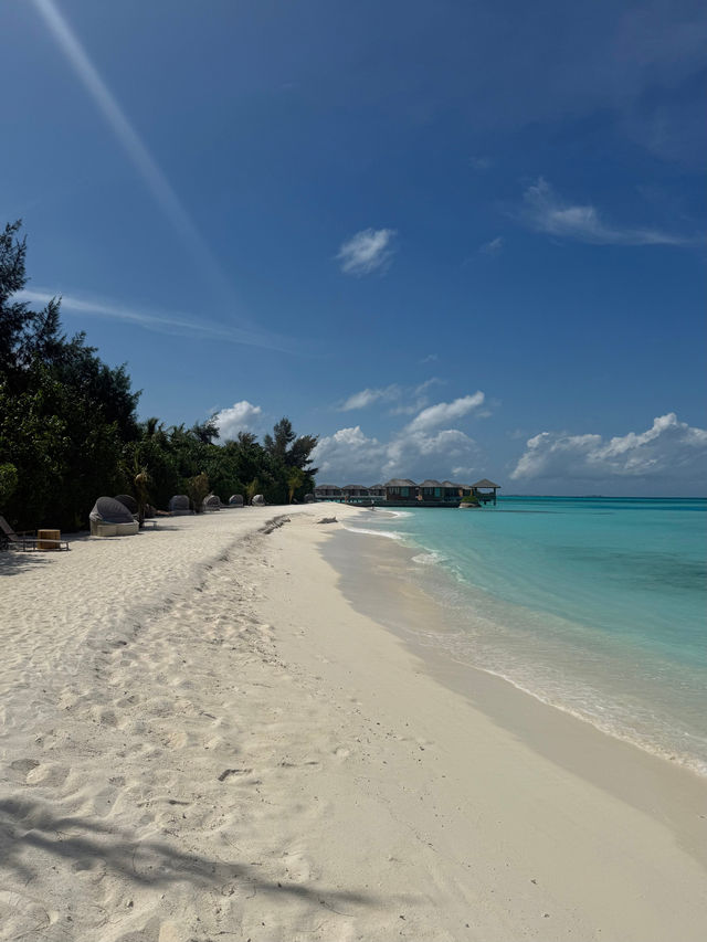 Unforgettable Resort Experience