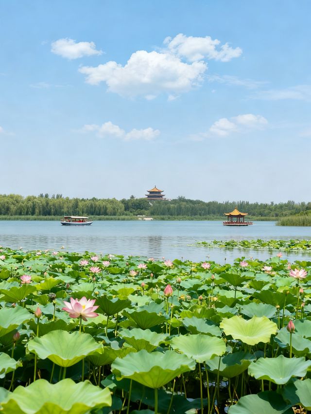 周口3日遊 | 太昊陵與關帝廟經典組合・全人群適配攻略