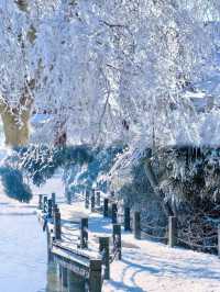 廬山霧淞雪景全攻略南方人也能get北國風光！