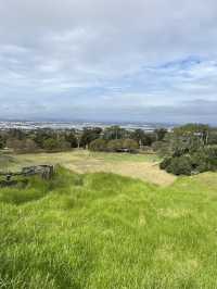 🌳 Cornwall Park: Auckland's Green Heart Where City Meets Serenity!  Escape into 425 acres of rollin