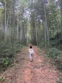 野放的一家|青山村徒步