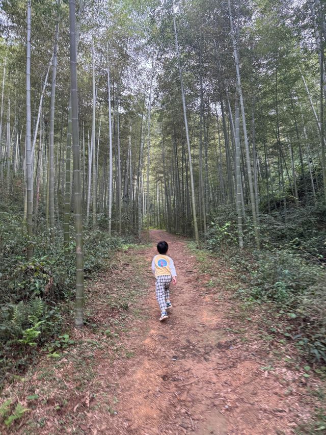 野放的一家|青山村徒步