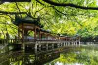 歡迎來鵝嶺公園遊玩打卡