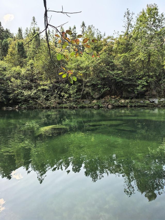 安徽石臺牯牛降皖南最後的原始秘境 安徽石臺牯牛降皖南最後的原始秘境