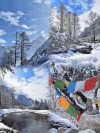 推薦一個超絕的看雪地方----四川畢棚溝｜南方人看雪狂喜攻略