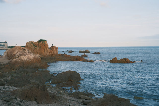 海邊玫瑰打卡地 【青島·海之韻】