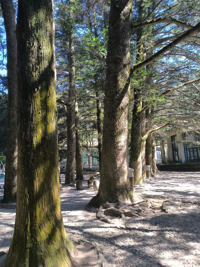 霧隱嵐山火燭幽