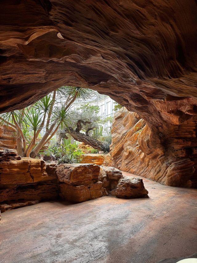 魔都慢生活圖鑑:世博文化公園的治癒時光 魔都慢生活圖鑑:世博文化公園的治癒時光