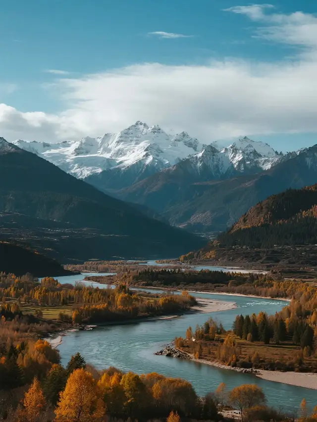 Autumn Grand Festival|Encounter the Most Beautiful Autumns Across the Land!