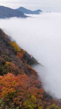 漢中龍頭山一日遊四川周邊遊秋天必去打卡地