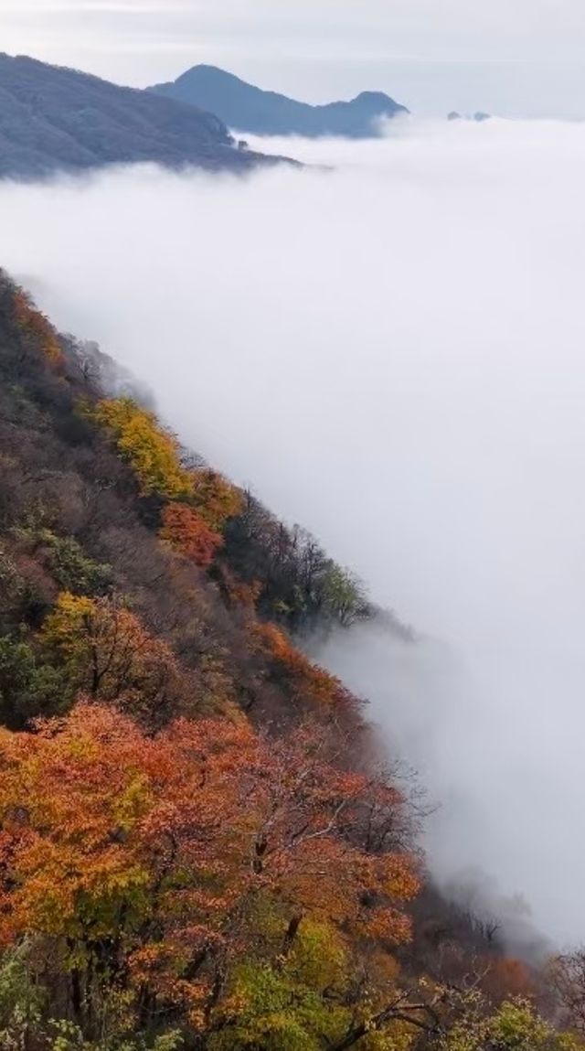 漢中龍頭山一日遊四川周邊遊秋天必去打卡地 漢中龍頭山一日遊四川周邊遊秋天必去打卡地