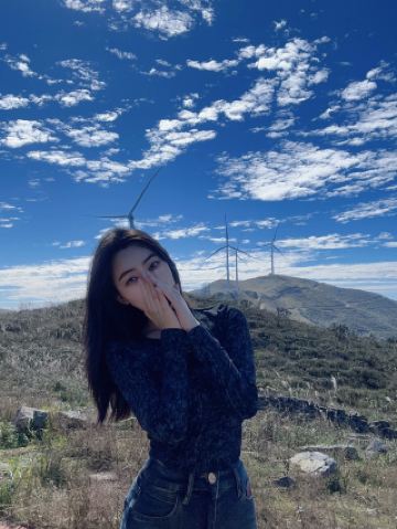 A must-visit forest secret on sunny days