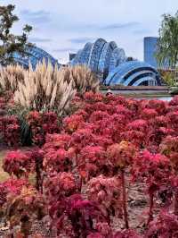 空中步廊俯瞰花草描繪的彩色大地。