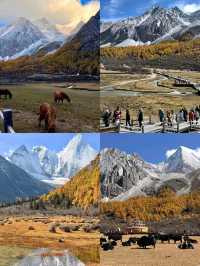 稻城亞丁｜神明遺落的藍眼淚！三神山環抱下的天堂暴走攻略