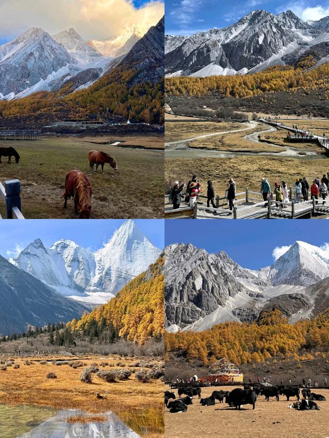 稻城亞丁｜神明遺落的藍眼淚！三神山環抱下的天堂暴走攻略