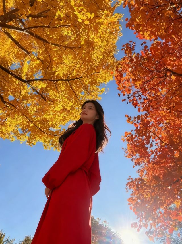 四得公園銀杏機位實拍|低角度這樣拍美炸了! 四得公園銀杏機位實拍|低角度這樣拍美炸了!