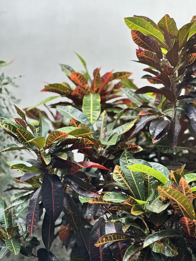 三坊七巷邊上的寶藏酒店！停車免費還超方便