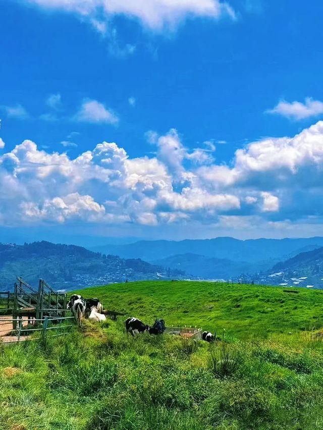 淡季的亞庇真係靚到令人驚嘆! 淡季的亞庇真係靚到令人驚嘆!