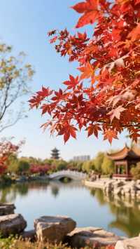 邯鄲最好的賞紅葉嘅幾個地方，唔嚟就錯過啦！