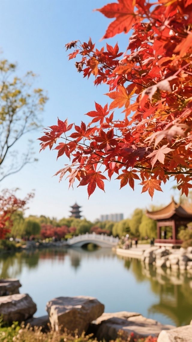 邯鄲最好的賞紅葉嘅幾個地方，唔嚟就錯過啦！