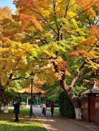 別再擠古鎮啦！600米高空發現「江南喀納斯」