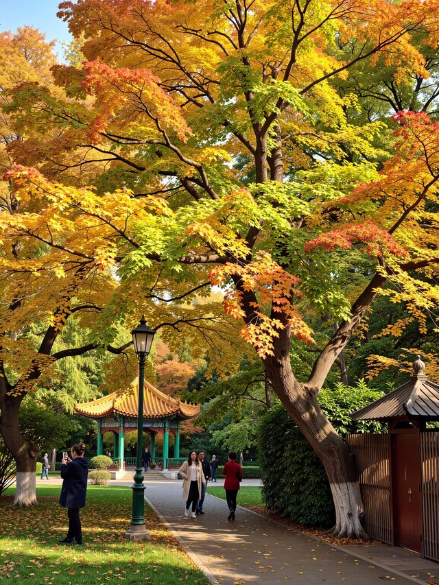 別再擠古鎮啦！600米高空發現「江南喀納斯」